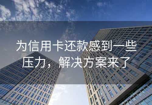 为信用卡还款感到一些压力，解决方案来了