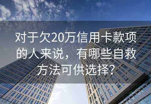 对于欠20万信用卡款项的人来说，有哪些自救方法可供选择？