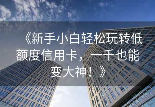 《新手小白轻松玩转低额度信用卡，一千也能变大神！》