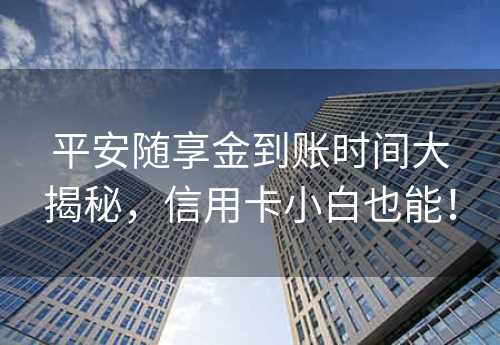 平安随享金到账时间大揭秘，信用卡小白也能！