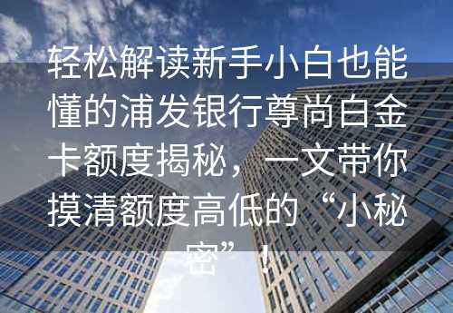 轻松解读新手小白也能懂的浦发银行尊尚白金卡额度揭秘，一文带你摸清额度高低的“小秘密”！