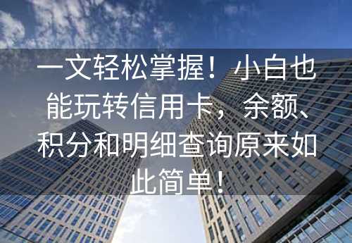 一文轻松掌握！小白也能玩转信用卡，余额、积分和明细查询原来如此简单！