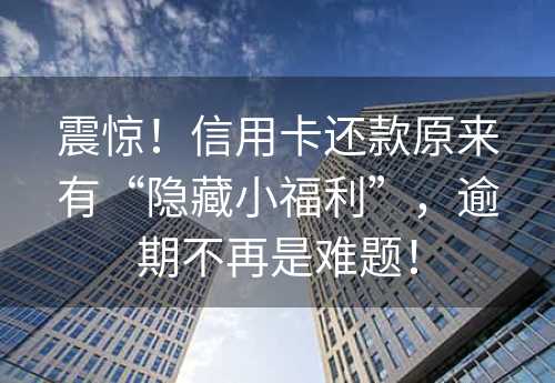 震惊！信用卡还款原来有“隐藏小福利”，逾期不再是难题！