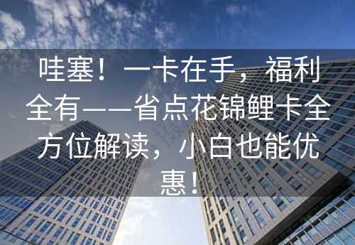 哇塞！一卡在手，福利全有——省点花锦鲤卡全方位解读，小白也能优惠！