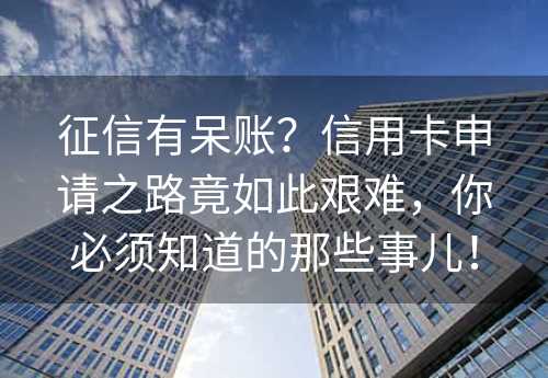 征信有呆账？信用卡申请之路竟如此艰难，你必须知道的那些事儿！