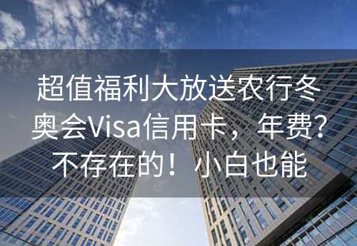 超值福利大放送农行冬奥会Visa信用卡，年费？不存在的！小白也能