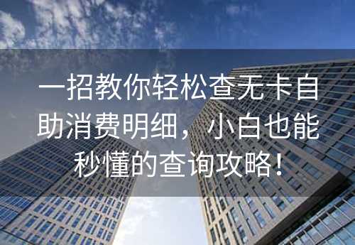 一招教你轻松查无卡自助消费明细，小白也能秒懂的查询攻略！