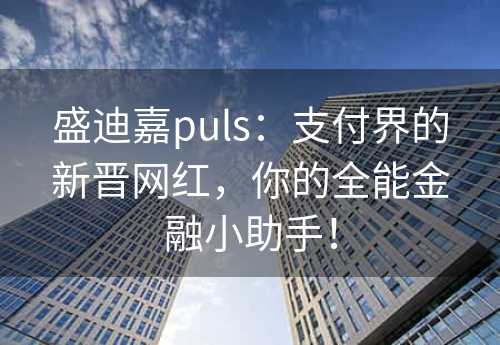 盛迪嘉puls：支付界的新晋网红，你的全能金融小助手！