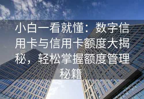 小白一看就懂：数字信用卡与信用卡额度大揭秘，轻松掌握额度管理秘籍 