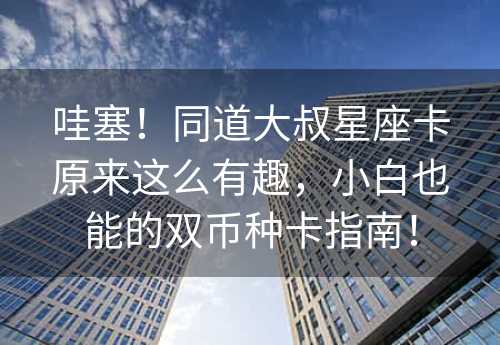 哇塞！同道大叔星座卡原来这么有趣，小白也能的双币种卡指南！