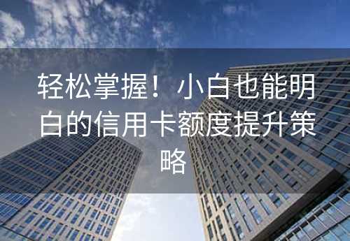 轻松掌握！小白也能明白的信用卡额度提升策略 