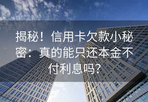 揭秘！信用卡欠款小秘密：真的能只还本金不付利息吗？