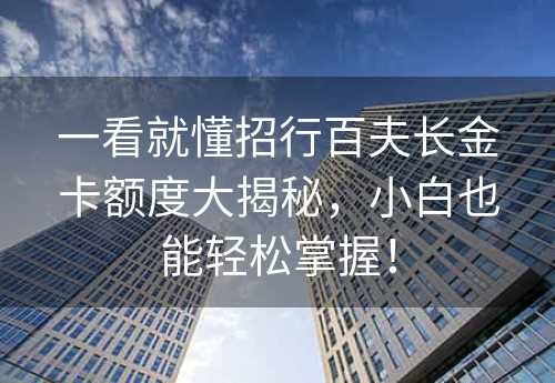 一看就懂招行百夫长金卡额度大揭秘，小白也能轻松掌握！