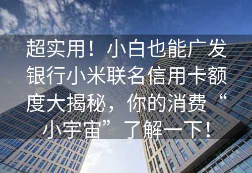 超实用！小白也能广发银行小米联名信用卡额度大揭秘，你的消费“小宇宙”了解一下！