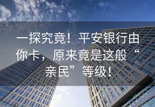 一探究竟！平安银行由你卡，原来竟是这般“亲民”等级！