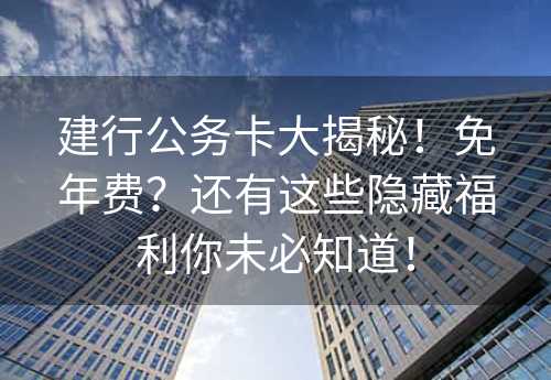 建行公务卡大揭秘！免年费？还有这些隐藏福利你未必知道！