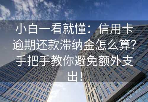 小白一看就懂：信用卡逾期还款滞纳金怎么算？手把手教你避免额外支出！