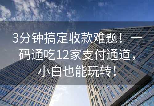 3分钟搞定收款难题！一码通吃12家支付通道，小白也能玩转！