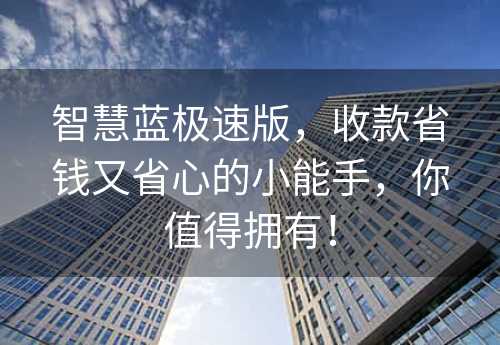 智慧蓝极速版，收款省钱又省心的小能手，你值得拥有！